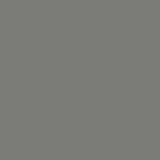 Gris Macadamia - U732 ST9<br><span style="color:#2baccd;">Unicamente para puertas correderas</span>