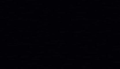 Negro brillante - U999 PG